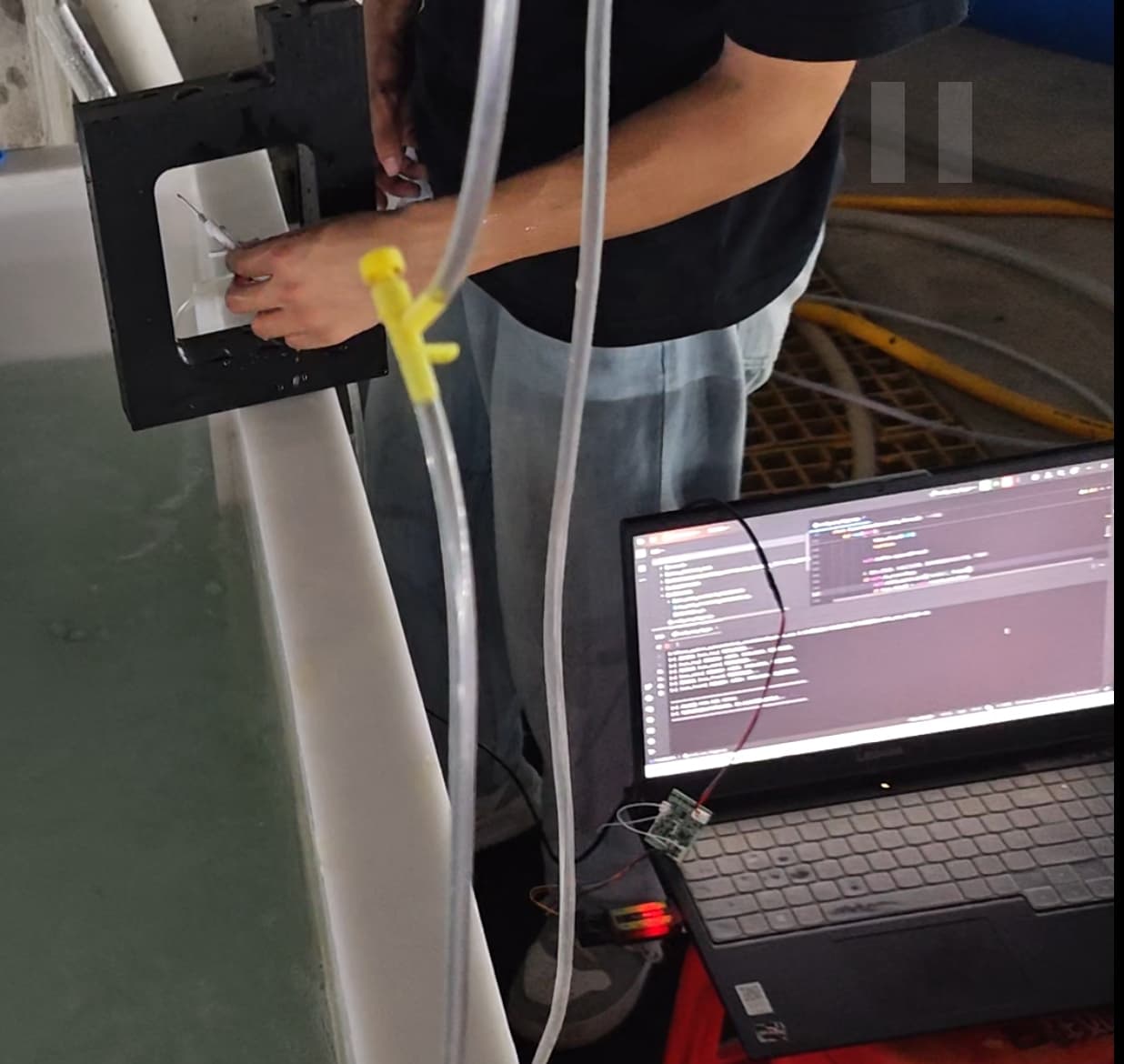 On-site working environment at the industrial crimson snapper aquaculture facility