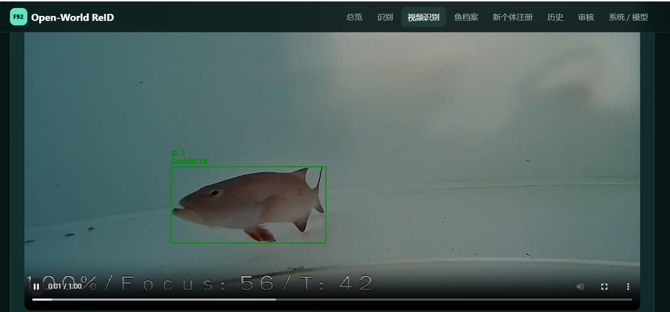 Real-time detection view in the web video recognition interface: a crimson snapper marked with a green bounding box labelled ID 3 at confidence 1.0