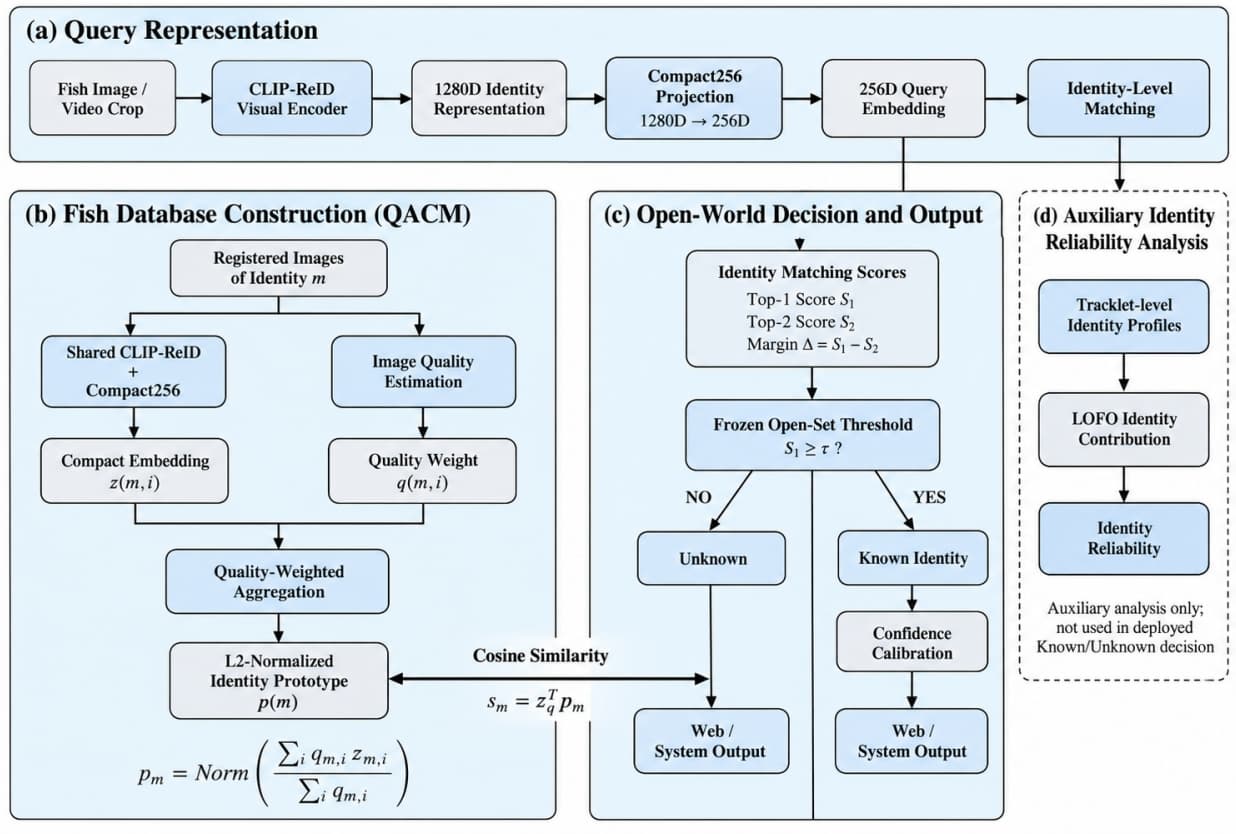 Overall algorithm framework diagram