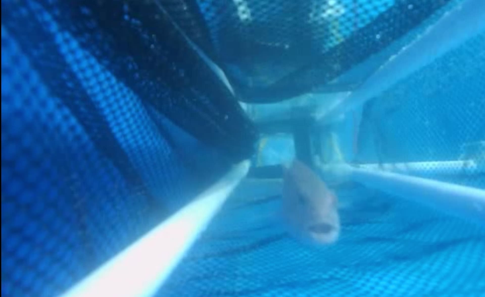 Front-view capture frame of the passage