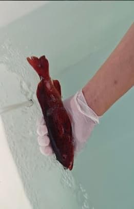 Oxygenated underwater recovery and aftercare